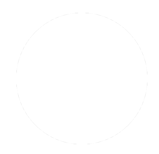 InnoRace
